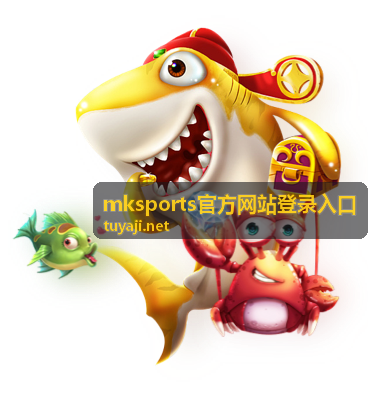 mksports官方网站登录入口入口核对要点配图