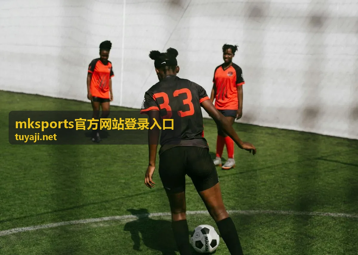 mksports官方网站登录入口访问环境检查示意配图