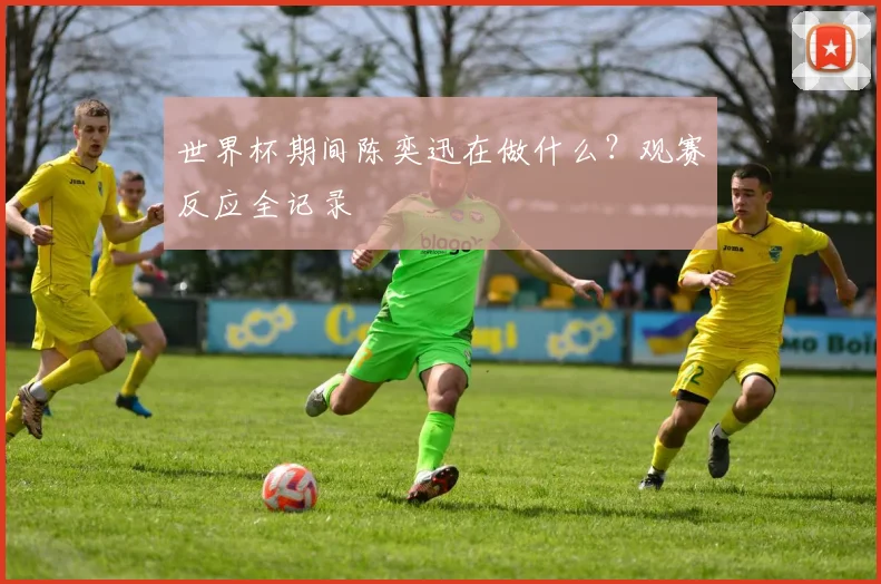 世界杯期间陈奕迅在做什么？观赛反应全记录