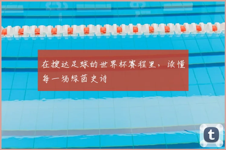 在搜达足球的世界杯赛程里，读懂每一场绿茵史诗