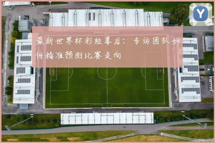 最新世界杯彩经幕后：专访团队如何精准预测比赛走向