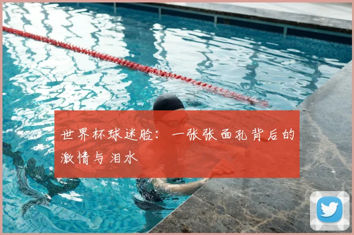 世界杯球迷脸:一张张面孔背后的激情与泪水
