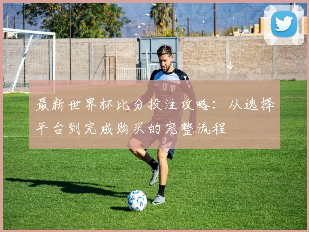 最新世界杯比分投注攻略：从选择平台到完成购买的完整流程