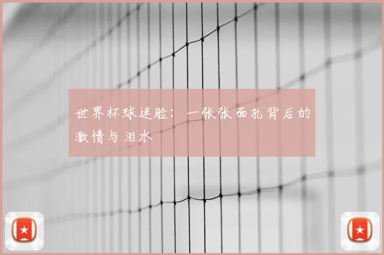 世界杯球迷脸：一张张面孔背后的激情与泪水