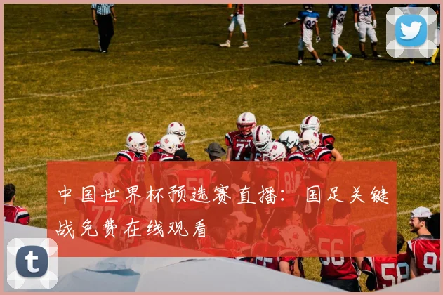中国世界杯预选赛直播：国足关键战免费在线观看