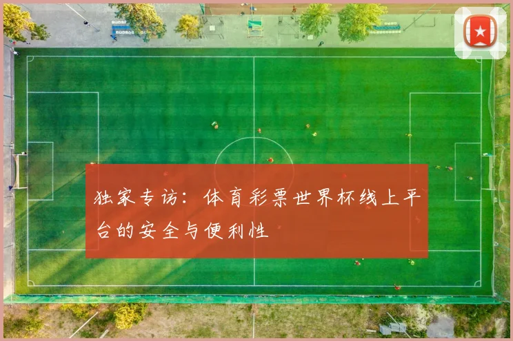 独家专访：体育彩票世界杯线上平台的安全与便利性