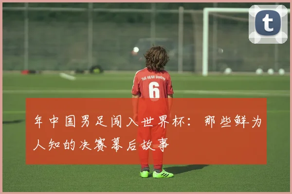 年中国男足闯入世界杯:那些鲜为人知的决赛幕后故事
