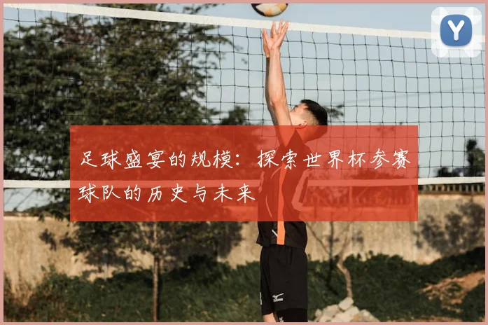 足球盛宴的规模：探索世界杯参赛球队的历史与未来