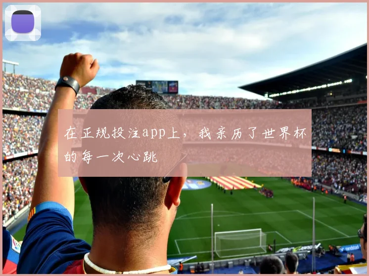 在正规投注app上，我亲历了世界杯的每一次心跳