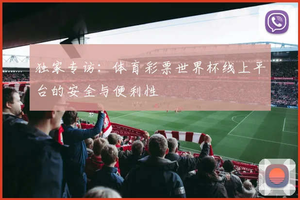 独家专访：体育彩票世界杯线上平台的安全与便利性