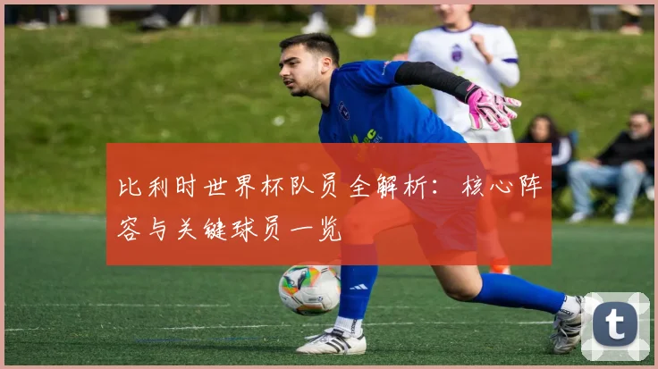 比利时世界杯队员全解析:核心阵容与关键球员一览