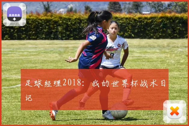 足球经理2018：我的世界杯战术日记