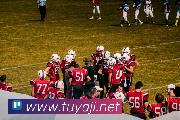 beat365官方网站入口发展历程